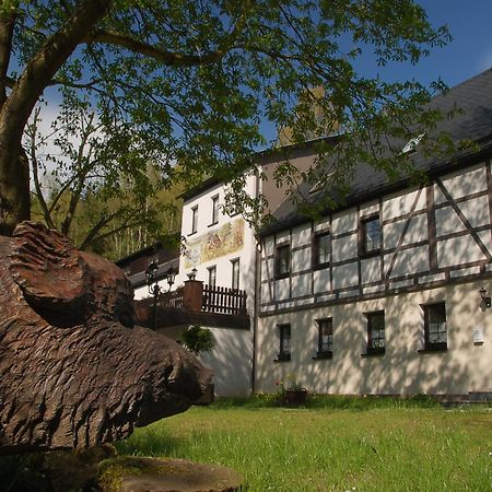 Waldgasthof & Hotel Am Sauwald Tannenberg Exterior foto